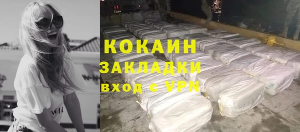 твердый Богородицк