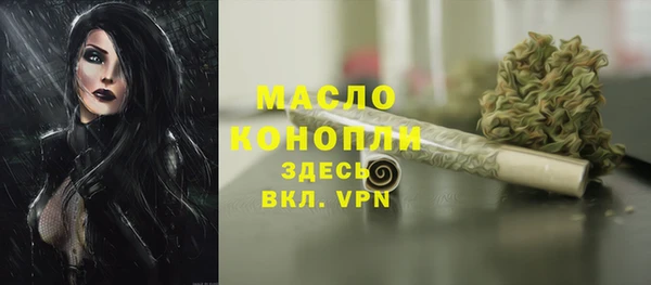 твердый Богородицк