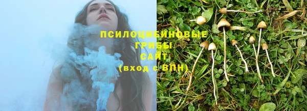 прущая мука Богородск