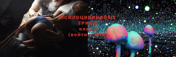 скорость Богданович