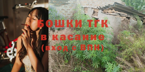 твердый Богородицк